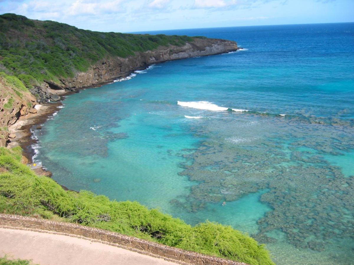 Free Parking, Pool, Sauna, Spa, Wifi, Bbq, Ac - Waikiki Banyan Honolulu Exterior photo