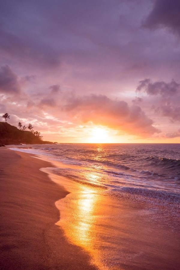 Free Parking, Pool, Sauna, Spa, Wifi, Bbq, Ac - Waikiki Banyan Honolulu Exterior photo