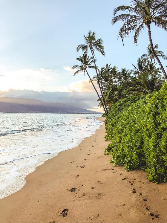Free Parking, Pool, Sauna, Spa, Wifi, Bbq, Ac - Waikiki Banyan Honolulu Exterior photo